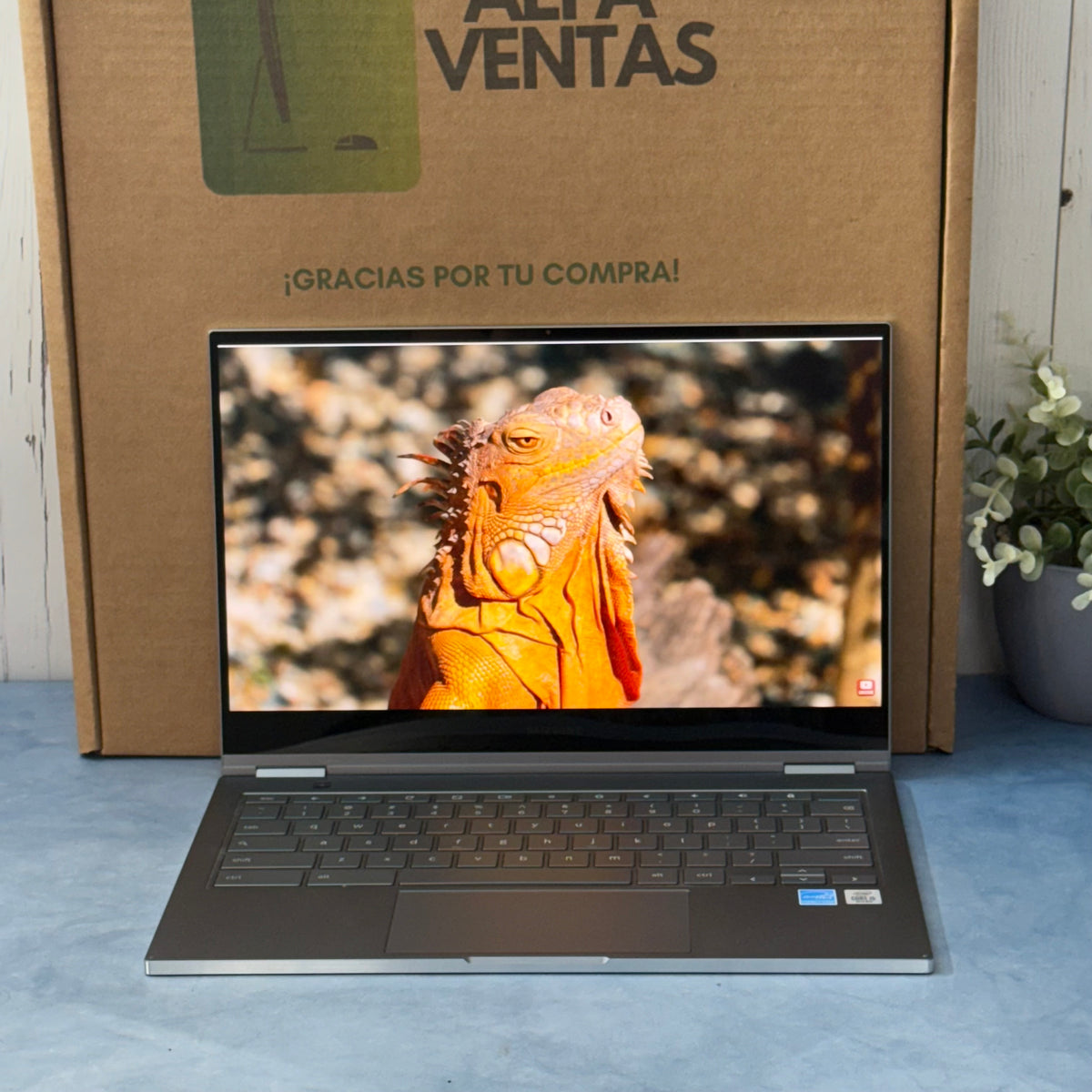 Laptop Samsung Chromebook 13.3" Core i5 10MA Gen 8GB RAM SSD 256GB Pantalla Táctil 13.3” 4K Chrome OS