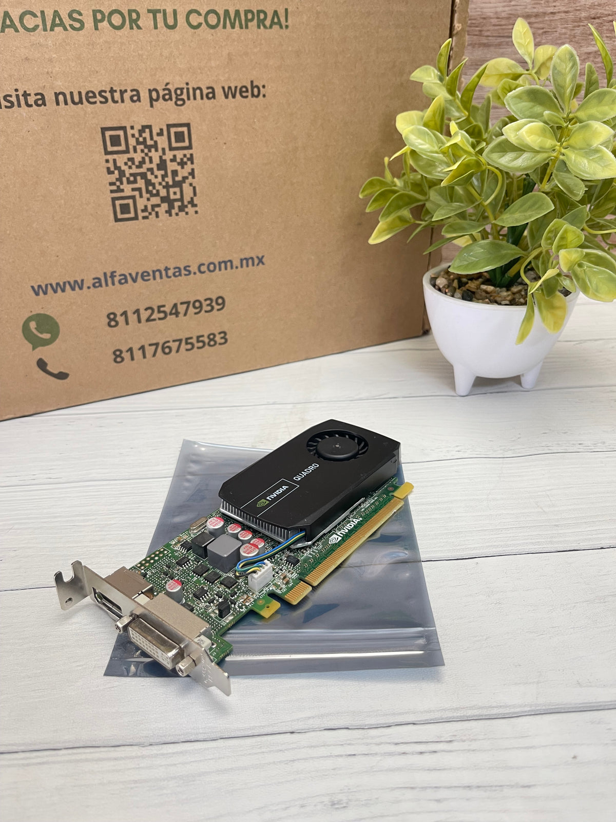 Tarjeta gráfica NVIDIA Quadro K600 1GB DDR3 DisplayPort DVI