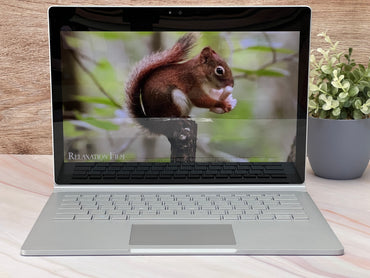 Microsoft SurfaceBook Gen 1 Core i5 6ta Gen SSD 256GB RAM 8GB Pantalla Táctil Windows 10/11 Clase B