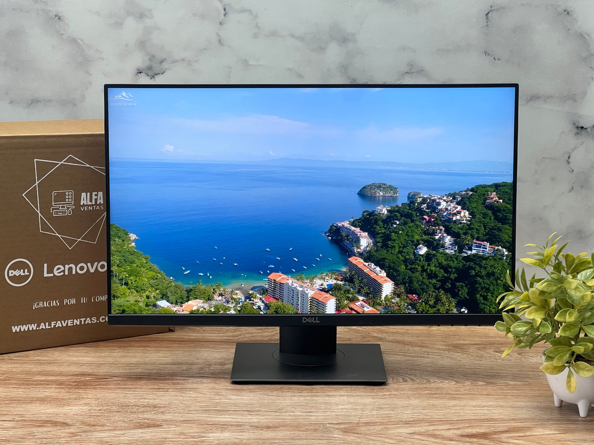 Monitor Dell  24" | P2419H| Full HD 1920×1080 | IPS | DisplayPort, HDMI y VGA