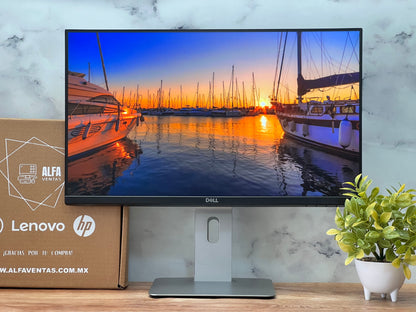 Monitor DELL  24" P2419H LED Full HD 1920x 1080 Displayport HDMI VGA CLASE B