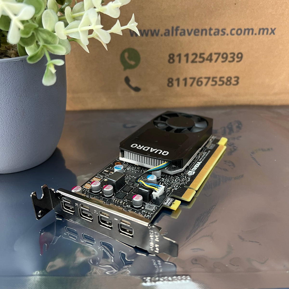 Tarjeta Gráfica NVIDIA Quadro P620 – 2GB GDDR5 | Bajo Perfil | Profesional