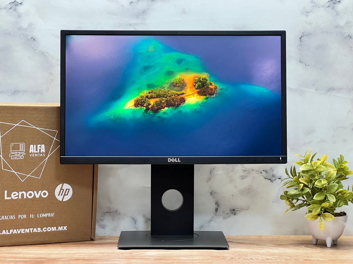 Monitor Dell P2217H LED 22” Full HD 1920×1080 | VGA • DisplayPort • HDMI | 6ms