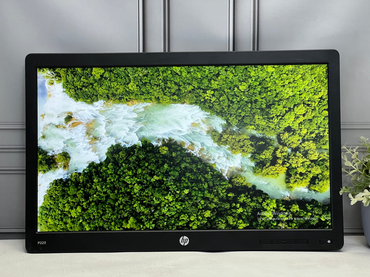 Monitor sin base para empotrar HP 22" P223 LED Full HD 1920x1080 VGA-DisplayPort CLASE B