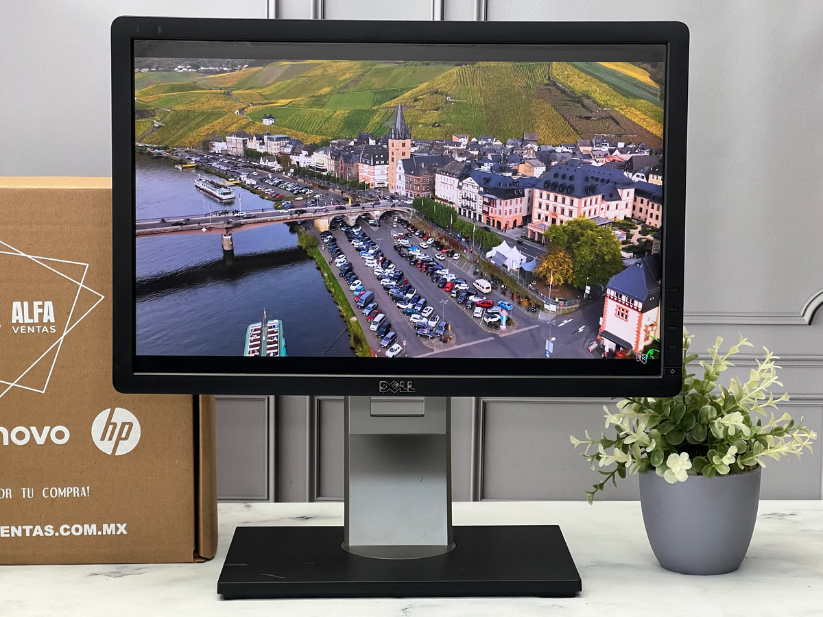 Monitor Dell 19" P1913b  1440 x 900  LED VGA, DVI, DisplayPort  75Hz Clase B