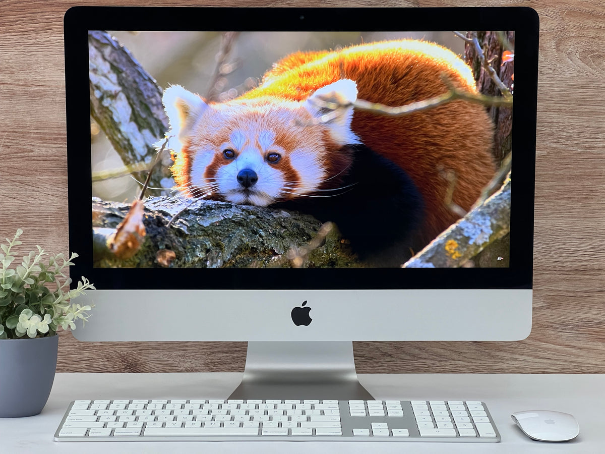 iMac 21.5” Retina 4K  Late 2017 Core i5  RAM 8GB RAM DD 1TB Gráficos dedicados Radeon 4GB