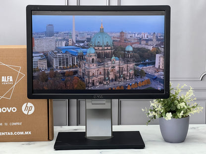 Monitor Dell 19" P1913b  1440 x 900  LED VGA, DVI, DisplayPort  75Hz Clase B