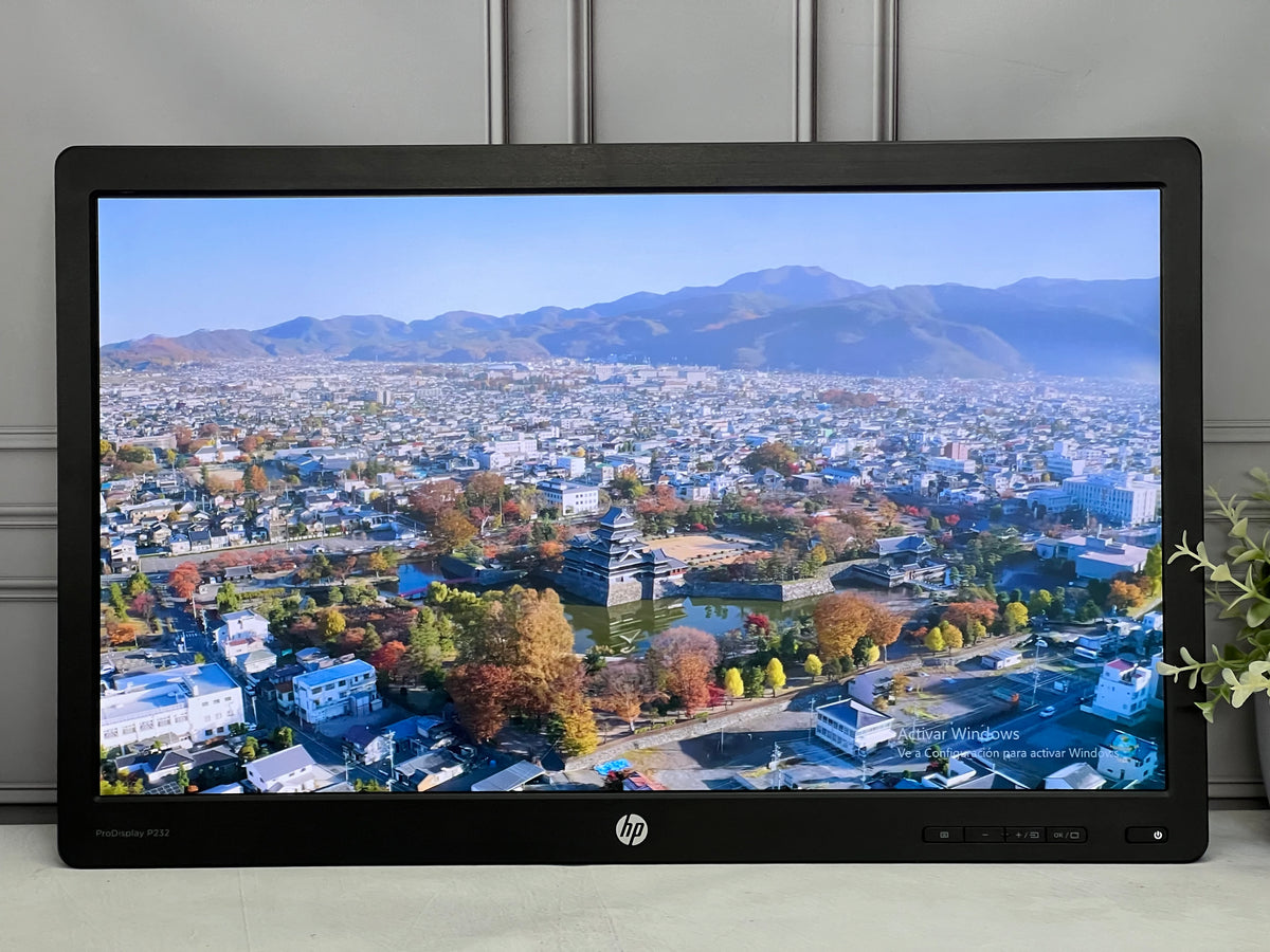 Monitor Hp ProDisplay 23" sin base para empotrar LED FHD  VGA- DISPLAYPORT