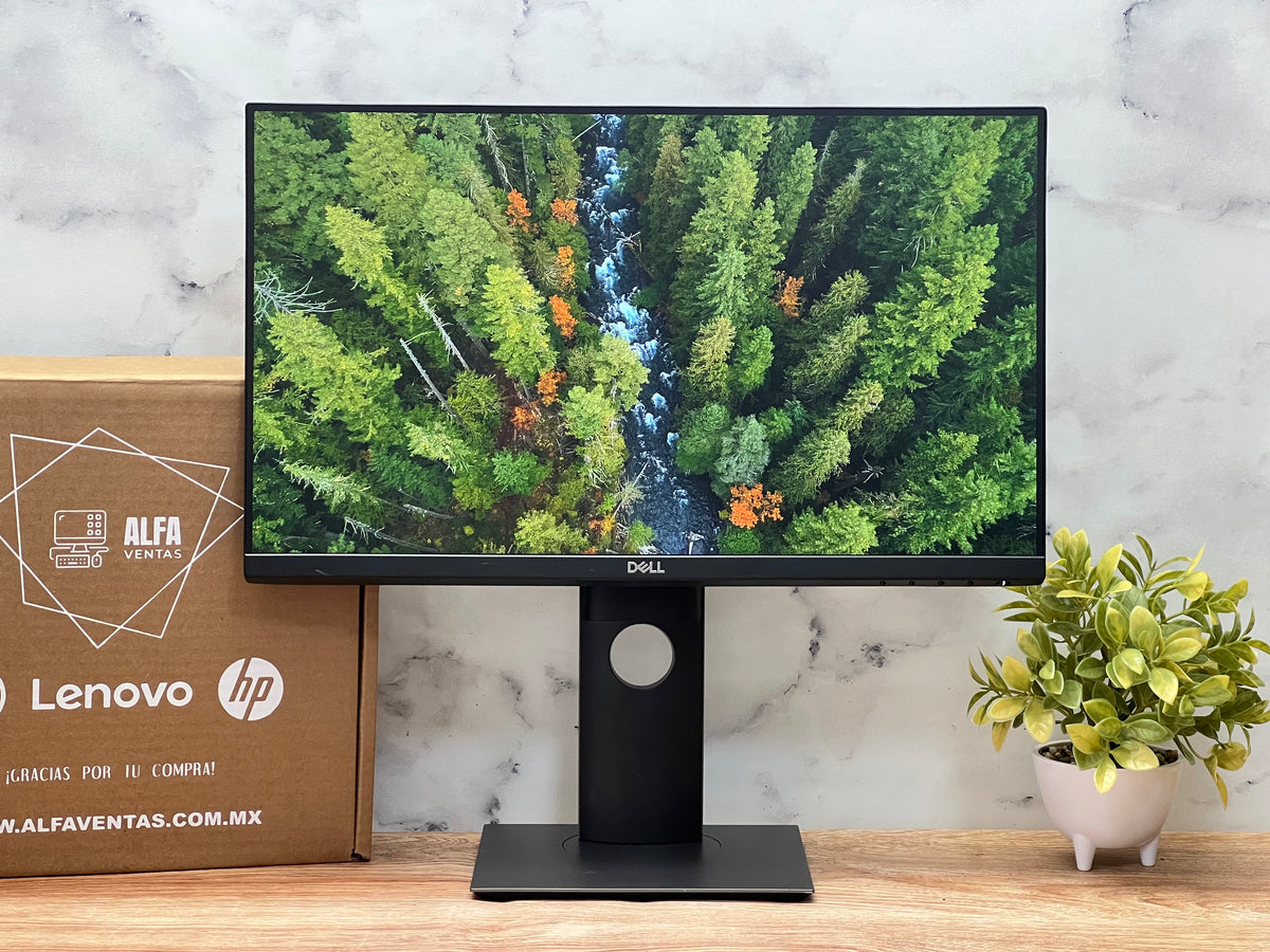 Monitor Dell P2219H | 22" | Full HD 1920×1080 | IPS | VGA, DisplayPort y HDMI | Clase B