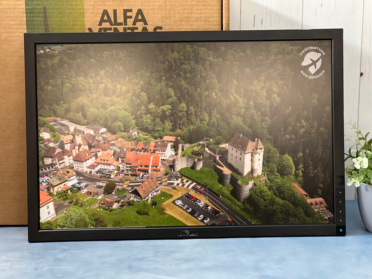 Monitor Dell sin base 22"  E2210f  LCD  VGA  DVI Clase B  1680 × 1050