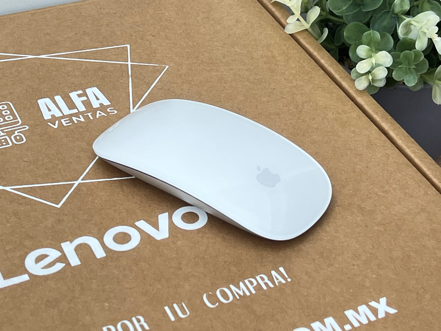 Mouse Apple Magic Mouse 2 A1657 Bluetooth | Multi-Touch | Recargable