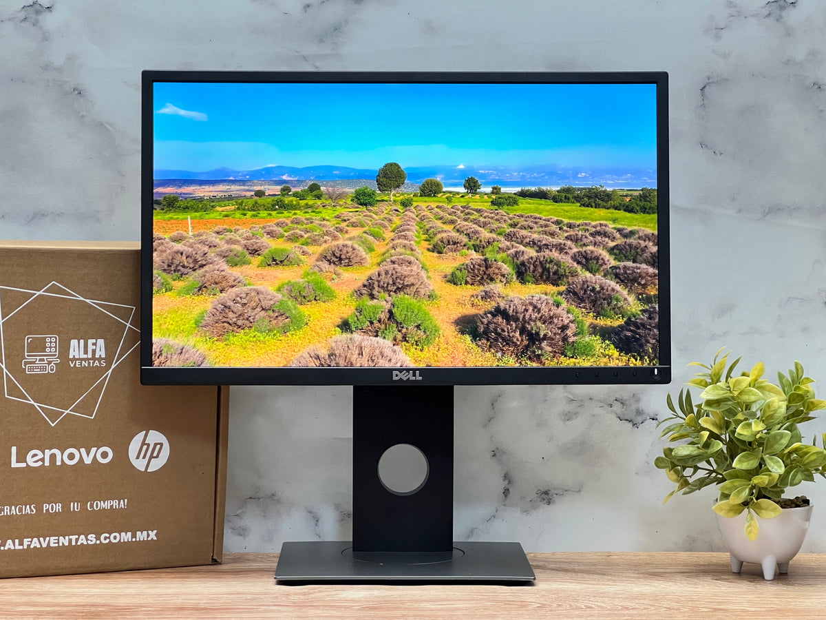 Monitor Dell P2217H LED 22” Full HD 1920×1080  VGA DisplayPort HDMI  6ms CLASE B