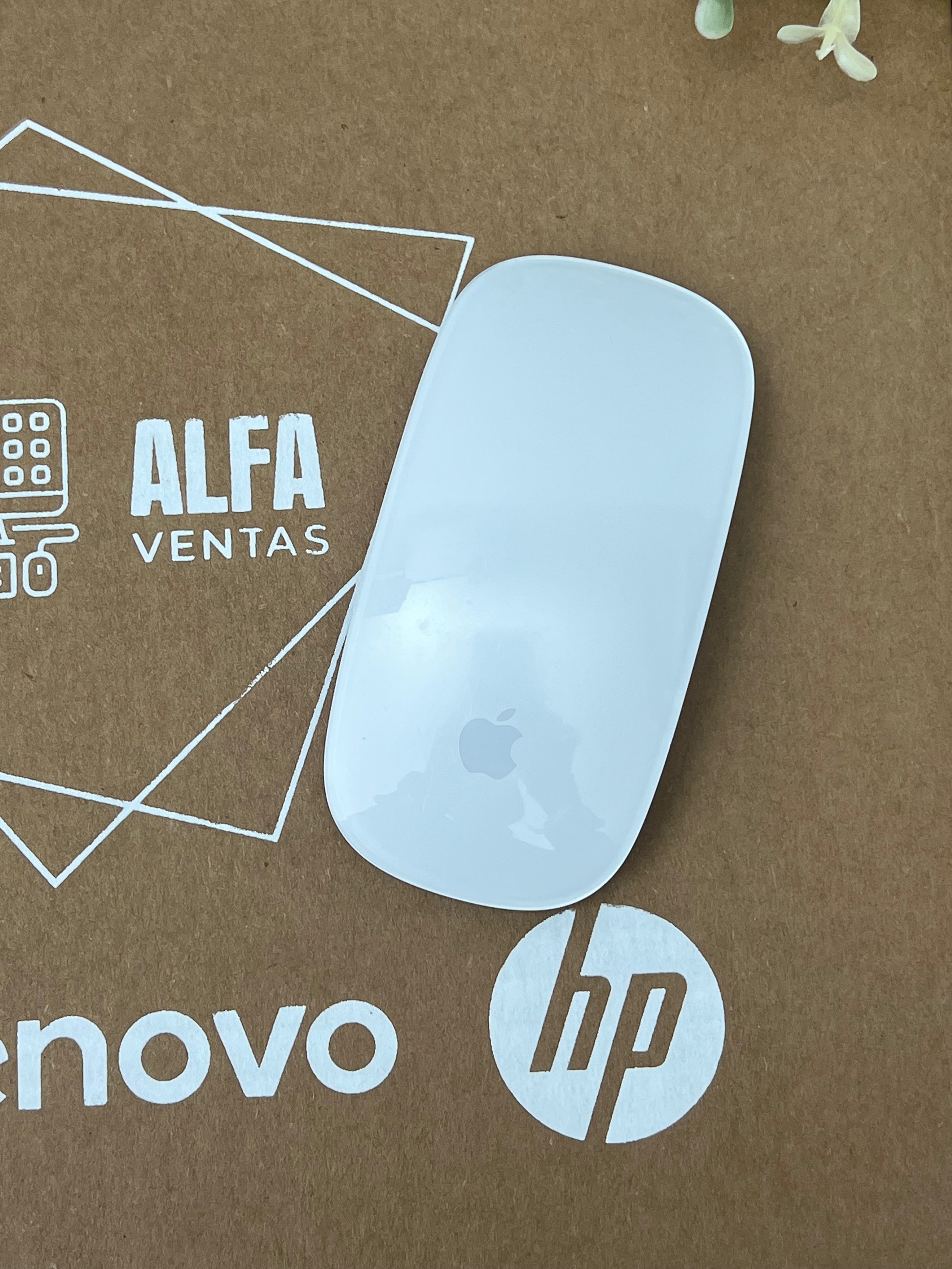 Mouse Apple Magic Mouse 2 A1657 Bluetooth | Multi-Touch | Recargable