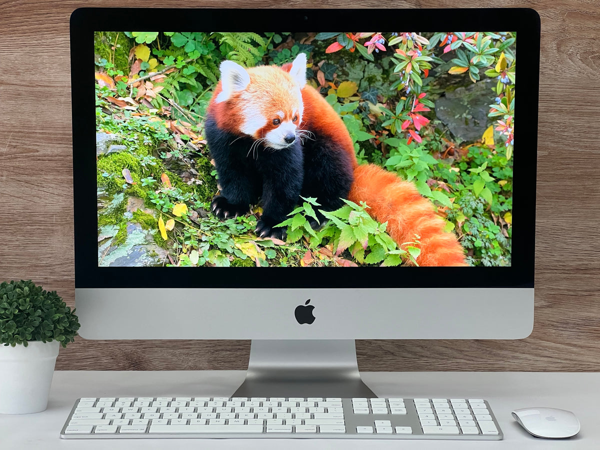apple iMac 21.5” A1418  Late 2013  Core i5  8GB RAM  1TB HDD  macOS Catalina