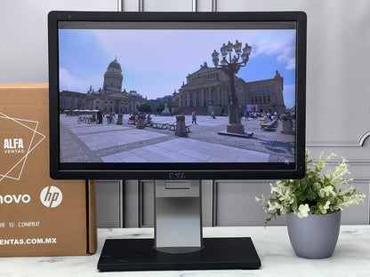 Monitor Dell 19" P1913b  1440 x 900  LED VGA, DVI, DisplayPort  75Hz Clase B