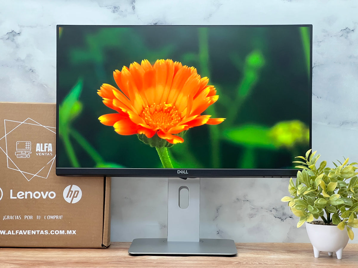 Monitor Dell  24" | P2419H| Full HD 1920×1080 | IPS | DisplayPort, HDMI y VGA