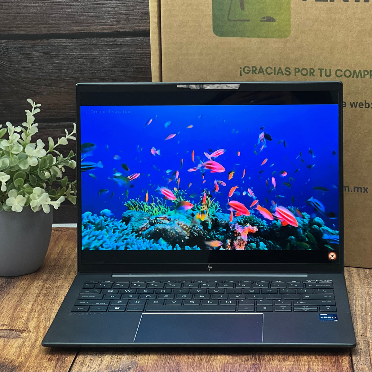 Laptop HP DragonFly 13.5″ G4 – Core i7 13va Gen  16GB RAM  SSD 512GB  Windows 11