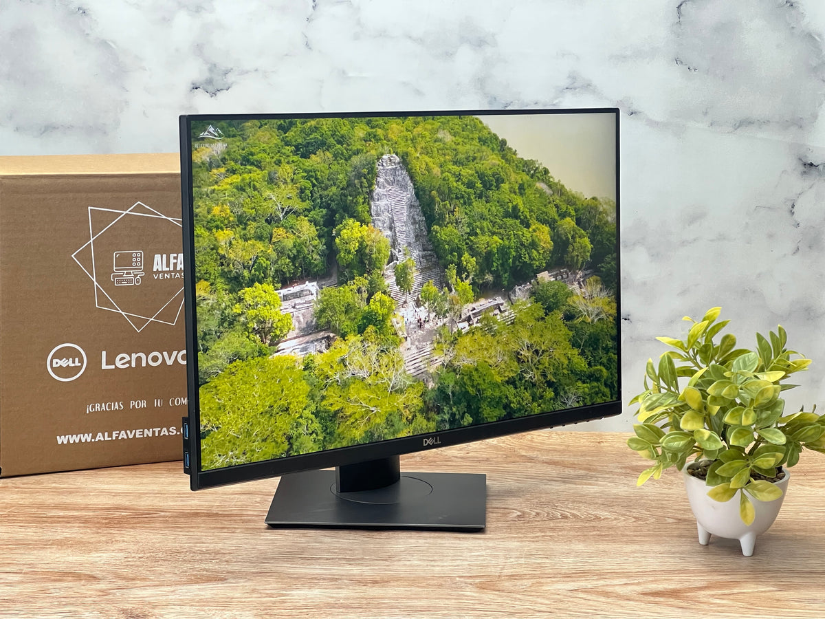 Monitor Dell  24" | P2419H| Full HD 1920×1080 | IPS | DisplayPort, HDMI y VGA