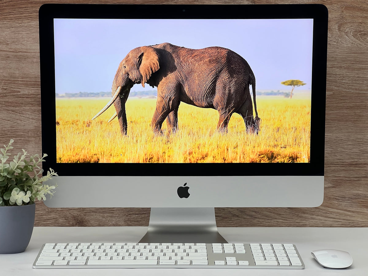 apple iMac 21.5” A1418  Late 2013  Core i5  8GB RAM  1TB HDD  macOS Catalina