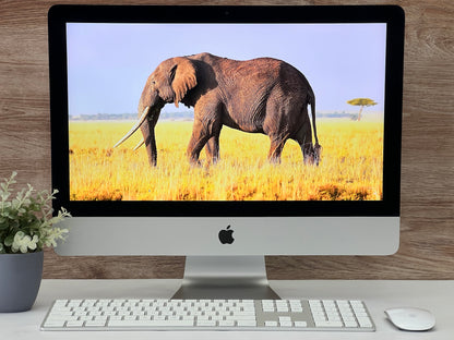apple iMac 21.5” A1418  Late 2013  Core i5  8GB RAM  1TB HDD  macOS Catalina