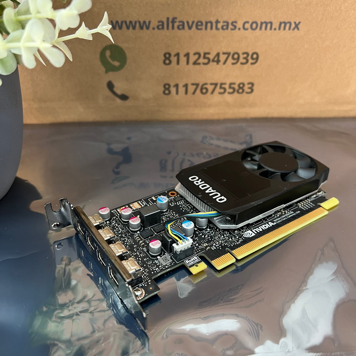 Tarjeta Gráfica NVIDIA Quadro P620 – 2GB GDDR5 | Bajo Perfil | Profesional