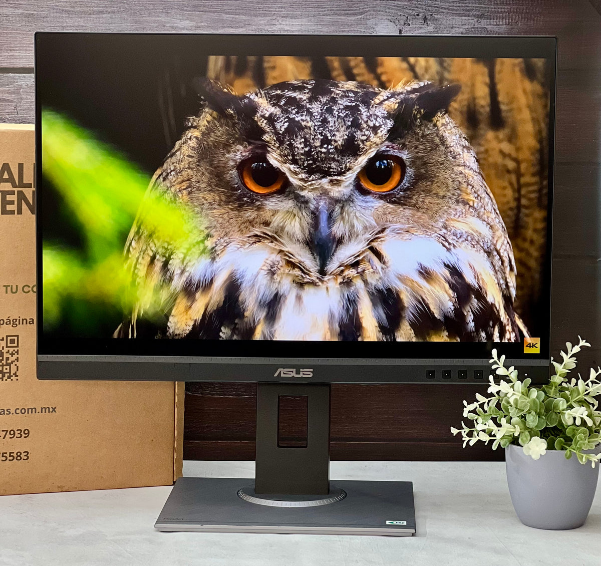 Monitor ASUS ProArt PA248QV – 24.1” WUXGA (1920x1200) | IPS | HDMI / DP / VGA