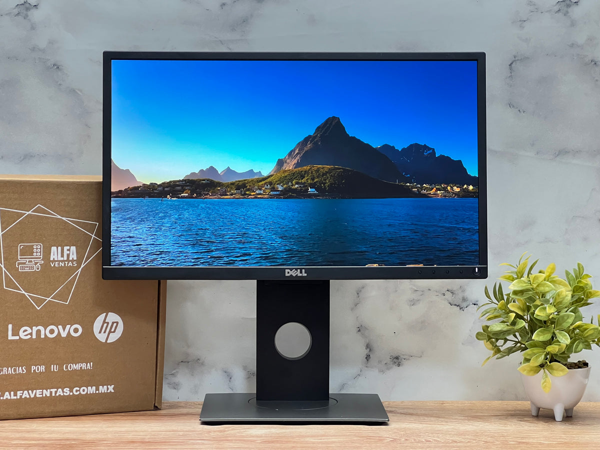 Monitor Dell P2217H LED 22” Full HD 1920×1080 | VGA • DisplayPort • HDMI | 6ms