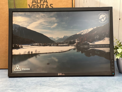 Monitor Dell sin base 22"  E2210f  LCD  VGA  DVI Clase B  1680 × 1050