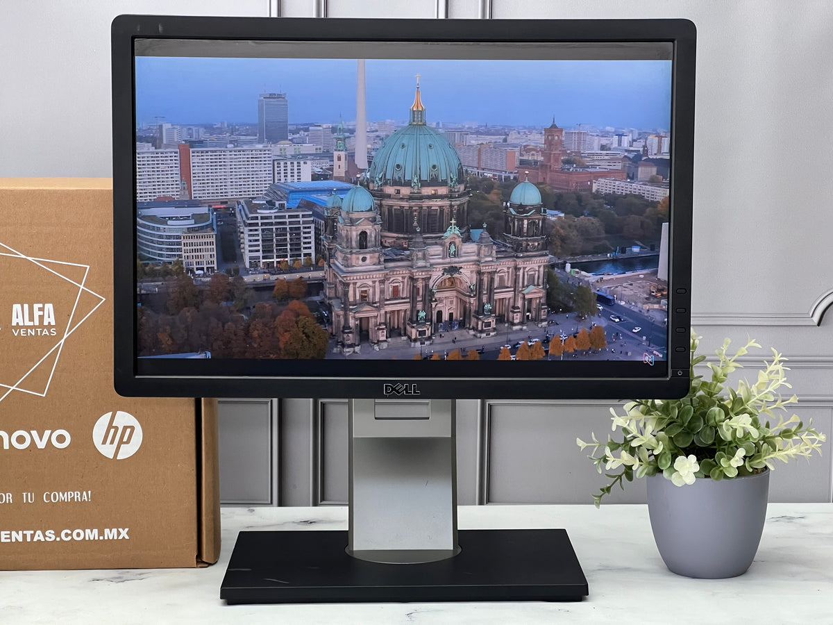 Monitor Dell 19" P1913b  1440 x 900  LED VGA, DVI, DisplayPort  75Hz Clase B