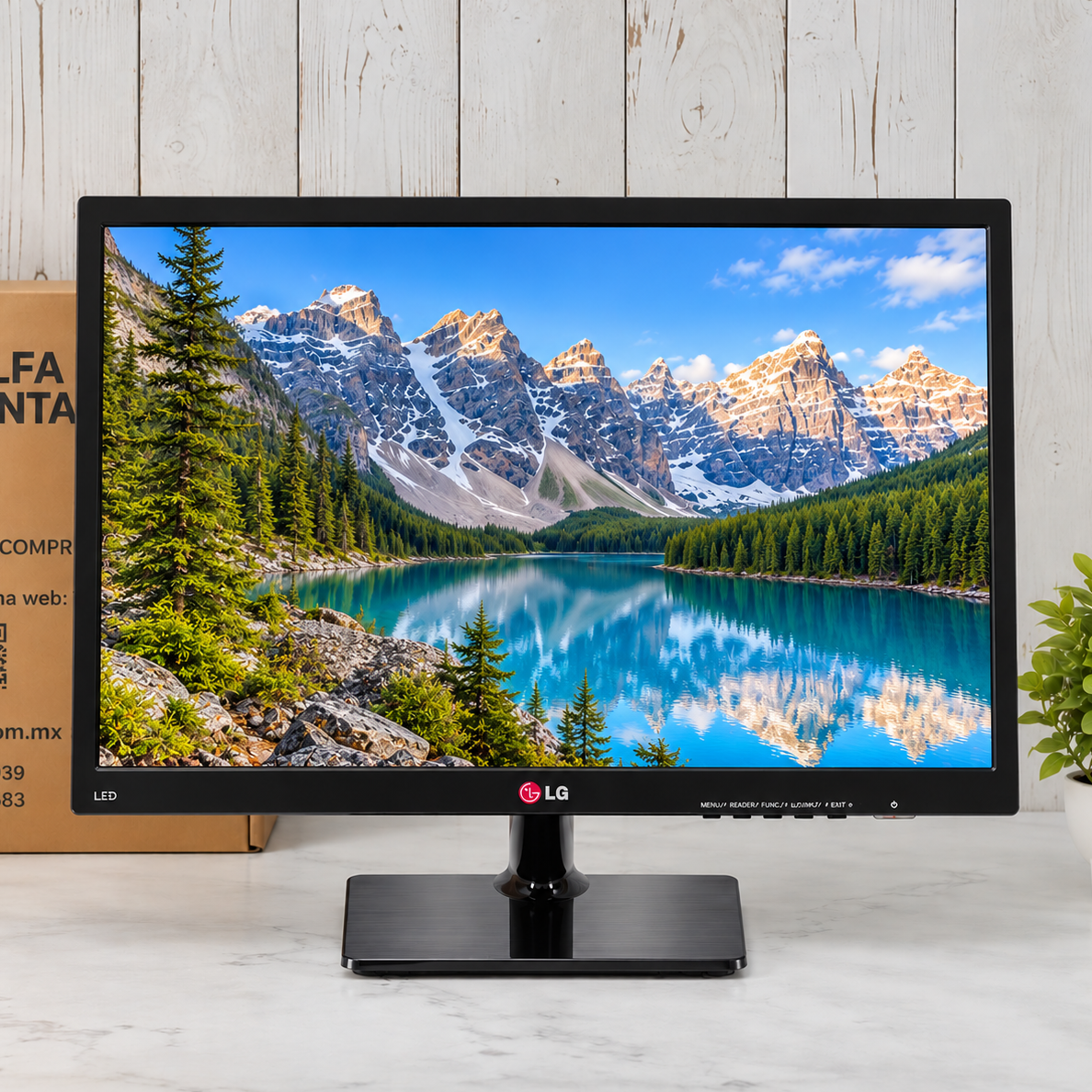 Monitor LG 24" | 24EN33TW-B | LED | DVI / VGA | Clase B