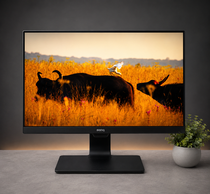 Monitor BenQ GV2480 24" Full HD | HDMI | VGA | DisplayPort | LED