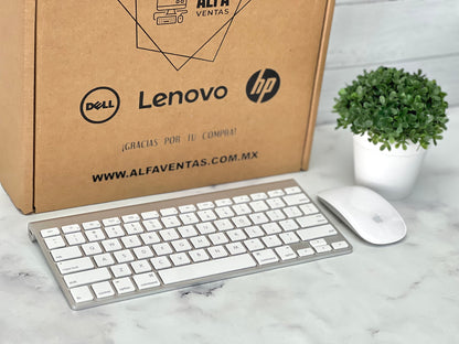 Kit Apple Teclado Inalámbrico A1314 + Magic Mouse A1296 | Bluetooth | Originales