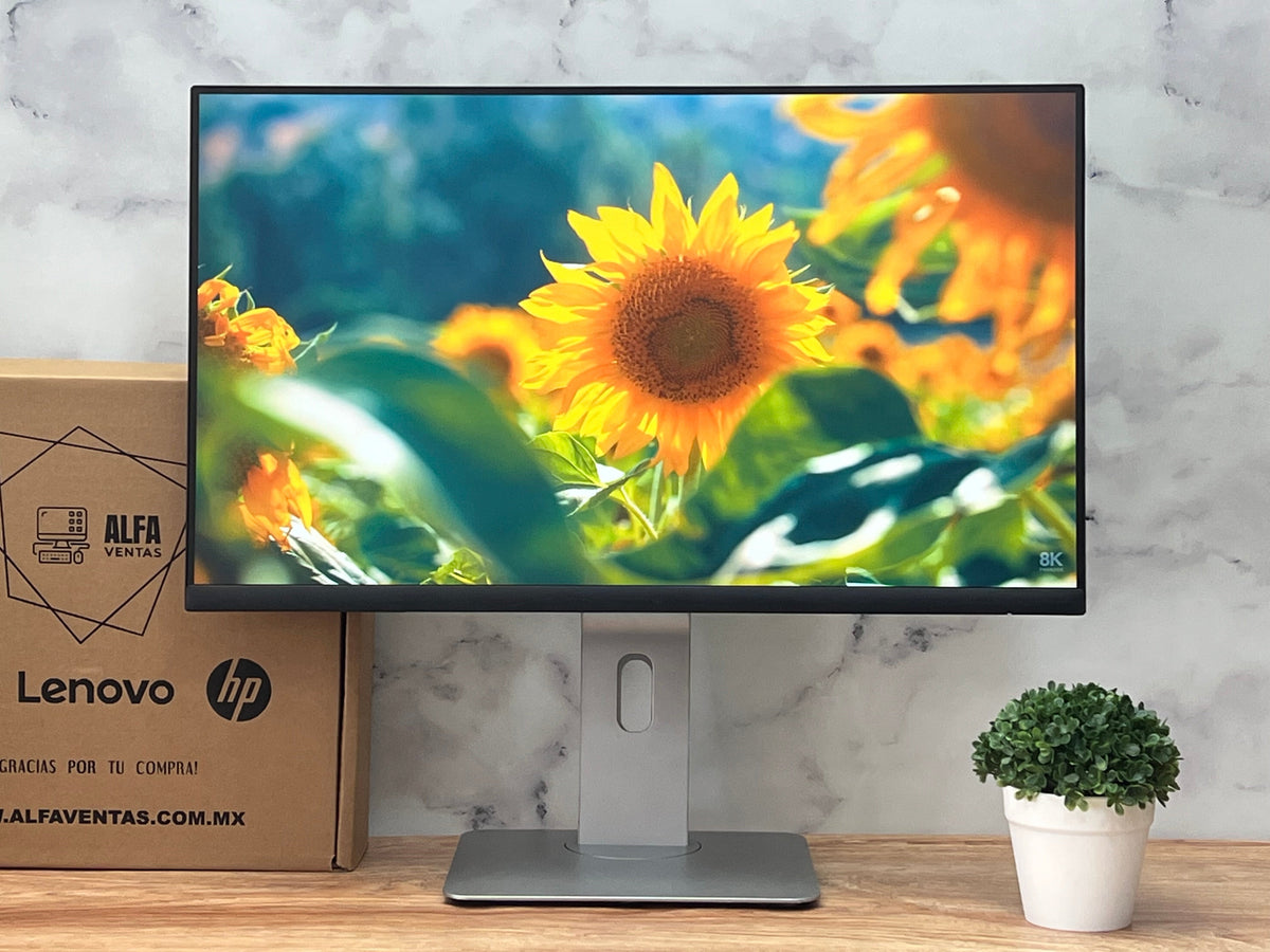 Monitor Dell 24" | P2422H | Full HD 1920×1080 | IPS | VGA, DisplayPort y HDMI