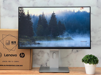 Monitor Dell 24" | P2422H | Full HD 1920×1080 | IPS | VGA, DisplayPort y HDMI