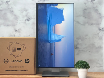 Monitor Dell 24" | P2422H | Full HD 1920×1080 | IPS | VGA, DisplayPort y HDMI