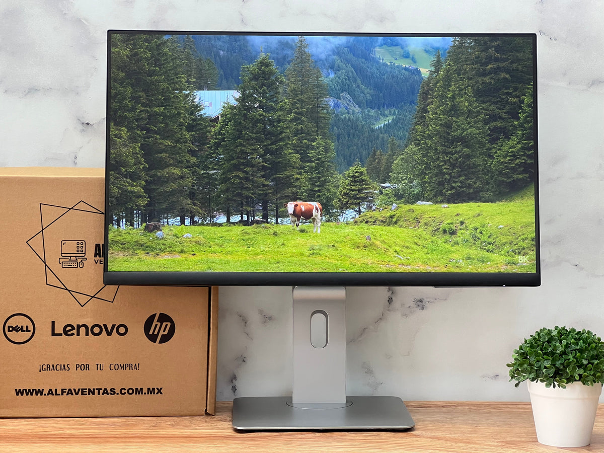 Monitor Dell 24" | P2422H | Full HD 1920×1080 | IPS | VGA, DisplayPort y HDMI