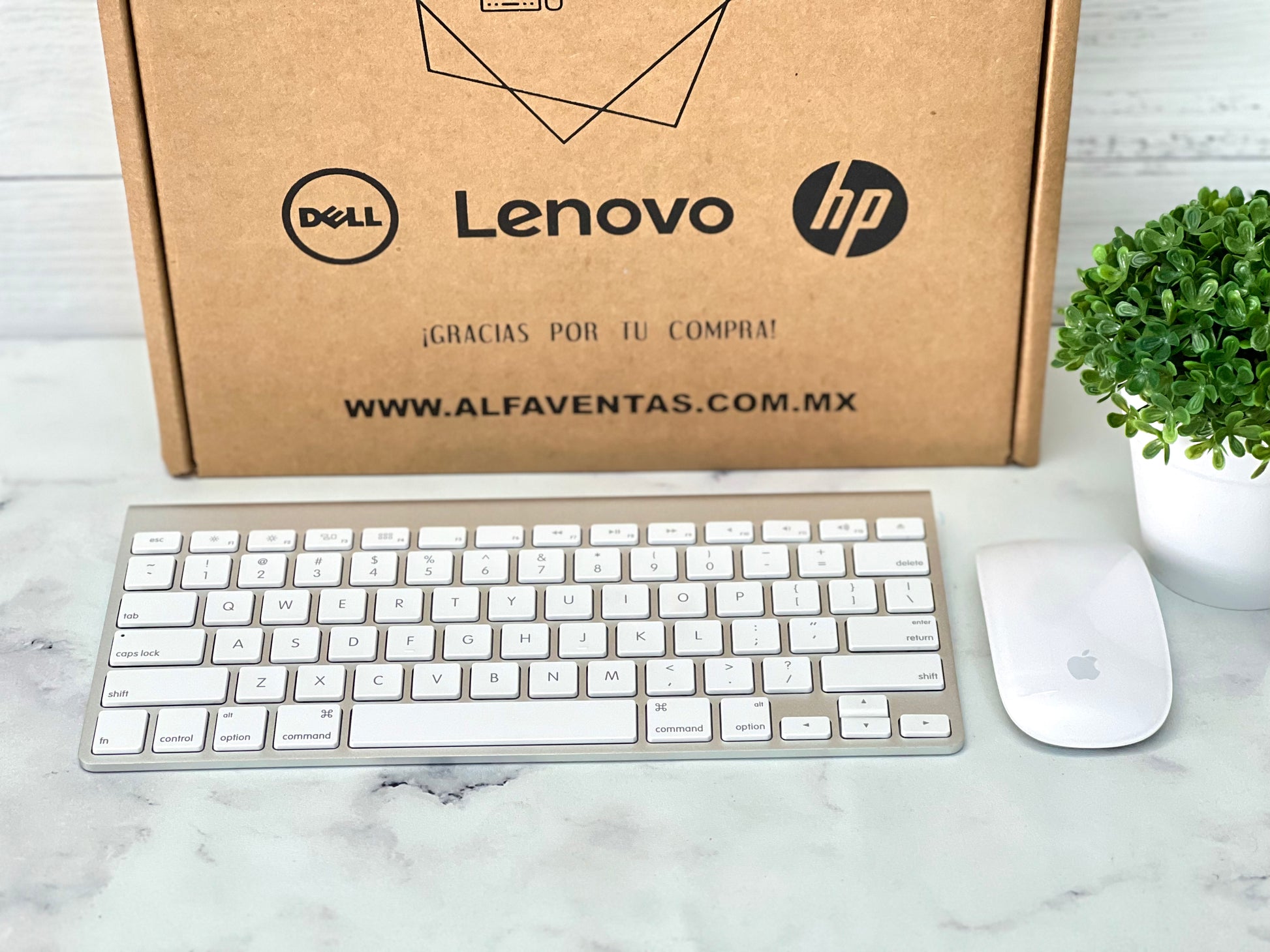 Kit Apple Teclado Inalámbrico A1314 + Magic Mouse A1296 | Bluetooth | Originales