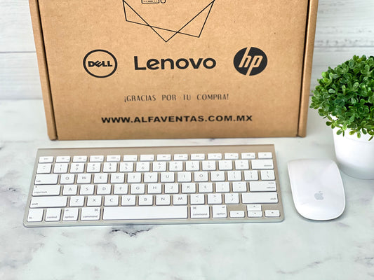 Kit Apple Teclado Inalámbrico A1314 + Magic Mouse A1296 | Bluetooth | Originales