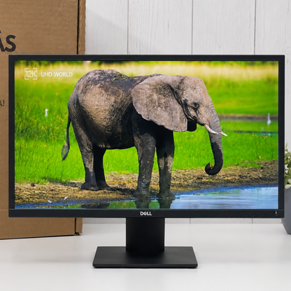 Monitor Dell E2420H | 24" | Full HD 1920x1080 | LED | VGA | DisplayPort | Clase B