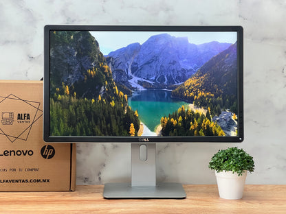 Monitor Dell P2314H | 23" | Full HD 1920x1080 | LED | VGA | DVI | DisplayPort | 60Hz | 5ms